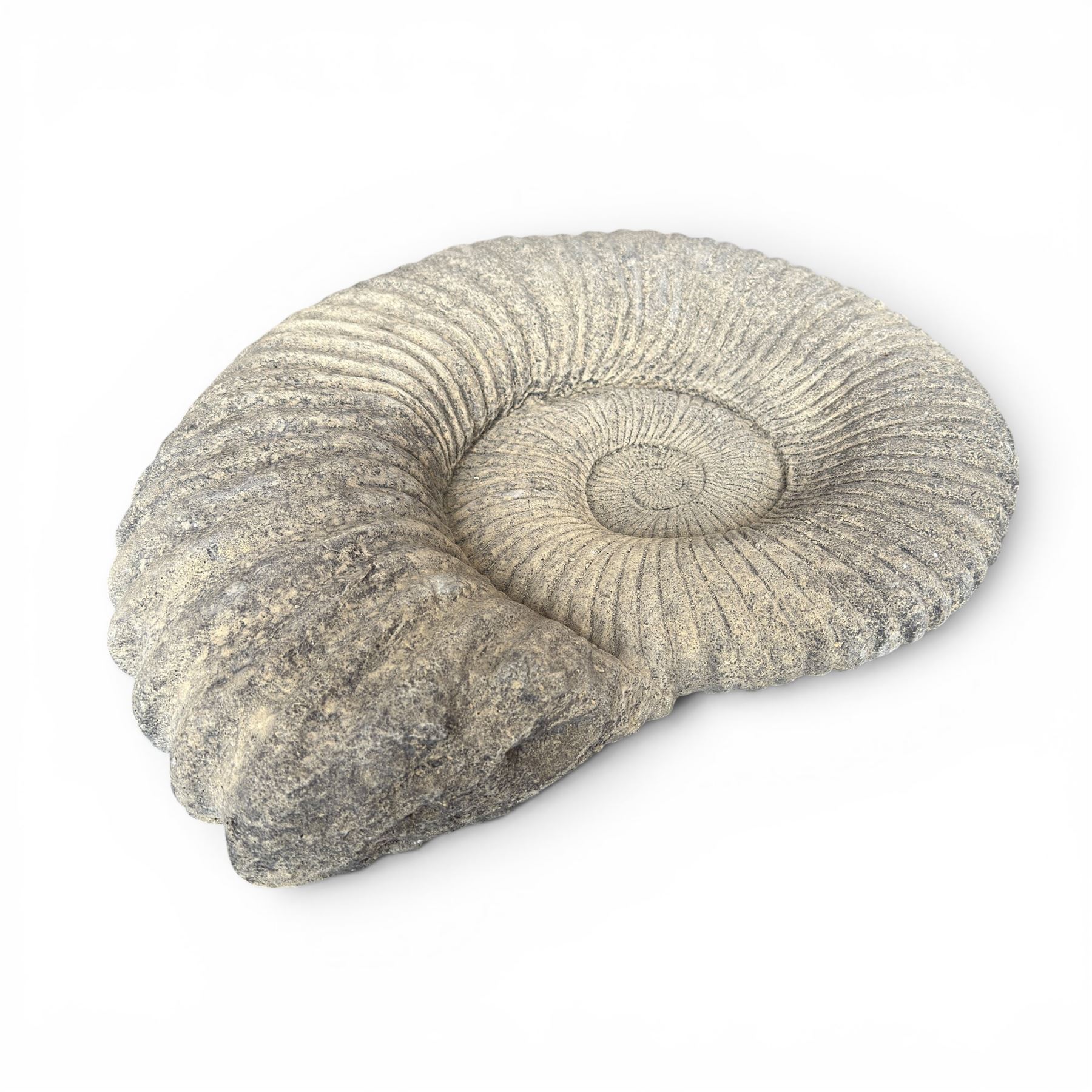 Set of three weathered cast stone wall plaques modelled in relief as ammonite fossils, of graduating size, each with wire hanging loop verso, max W45cm 