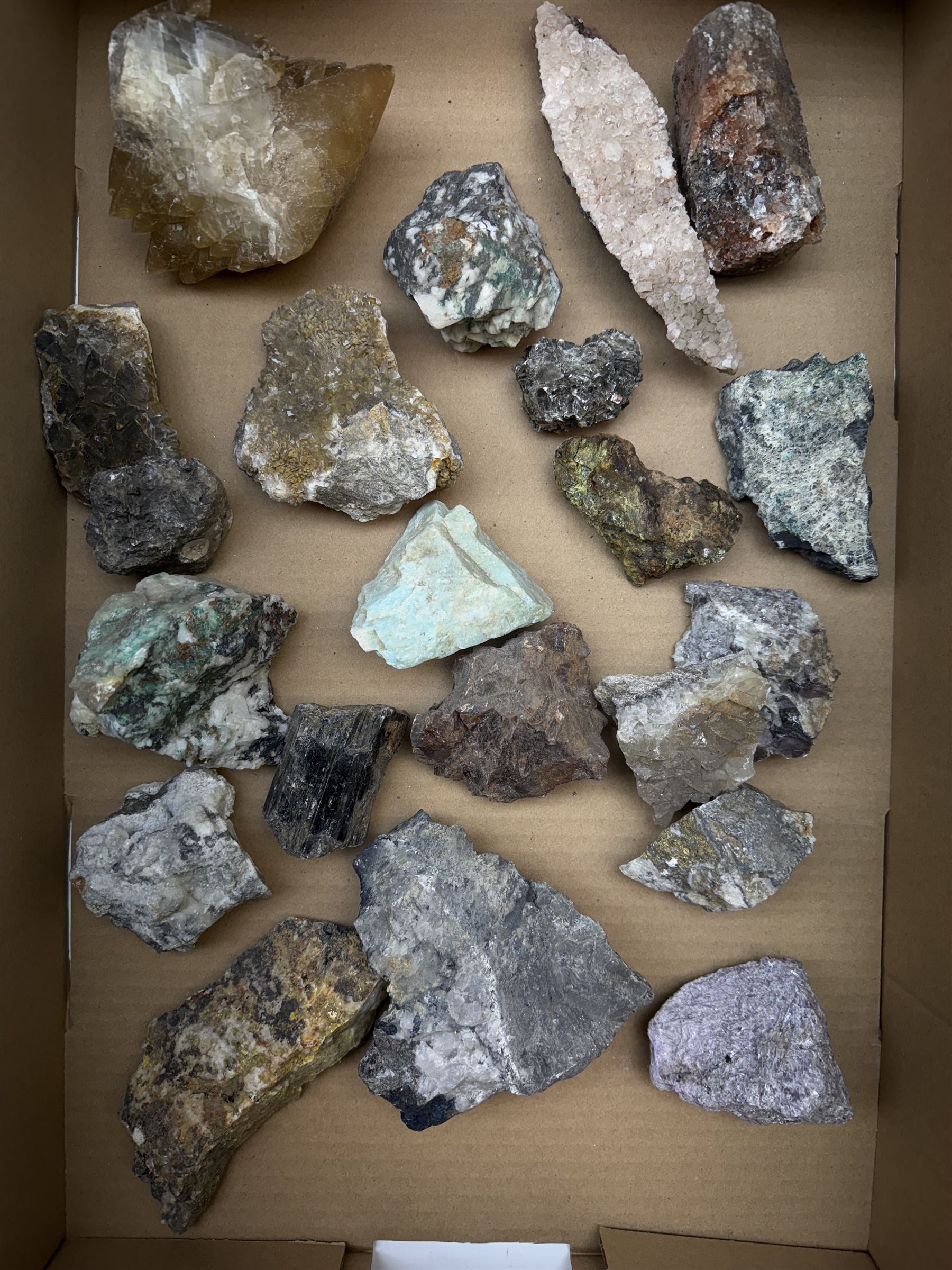 Large private collection of minerals and fossils including, Malachite, Azurite, Amethyst, agate, coprolite (fossilised excrement) etc 