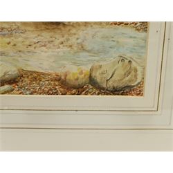 Lorna C Beckett (British late 20th century): 'Kestral', watercolour signed with initials and dated '93, titled verso 30cm x 34cm; Seabird on the Shore, 20th century watercolour indistinctly signed 47cm x 31cm (2)