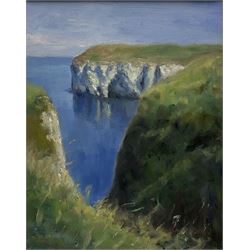 Neil Tyler (British 1945-): Flamborough Head, oil on canvas signed 50cm x 39cm