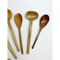Group of beech and sycamore Welsh Cowl and other spoons, largest example L21.5cm
