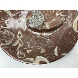 Large circular dish with a raised Goniatite to the centre and Orthoceras inclusion, age: Devonian period, location: Morocco, D30cm