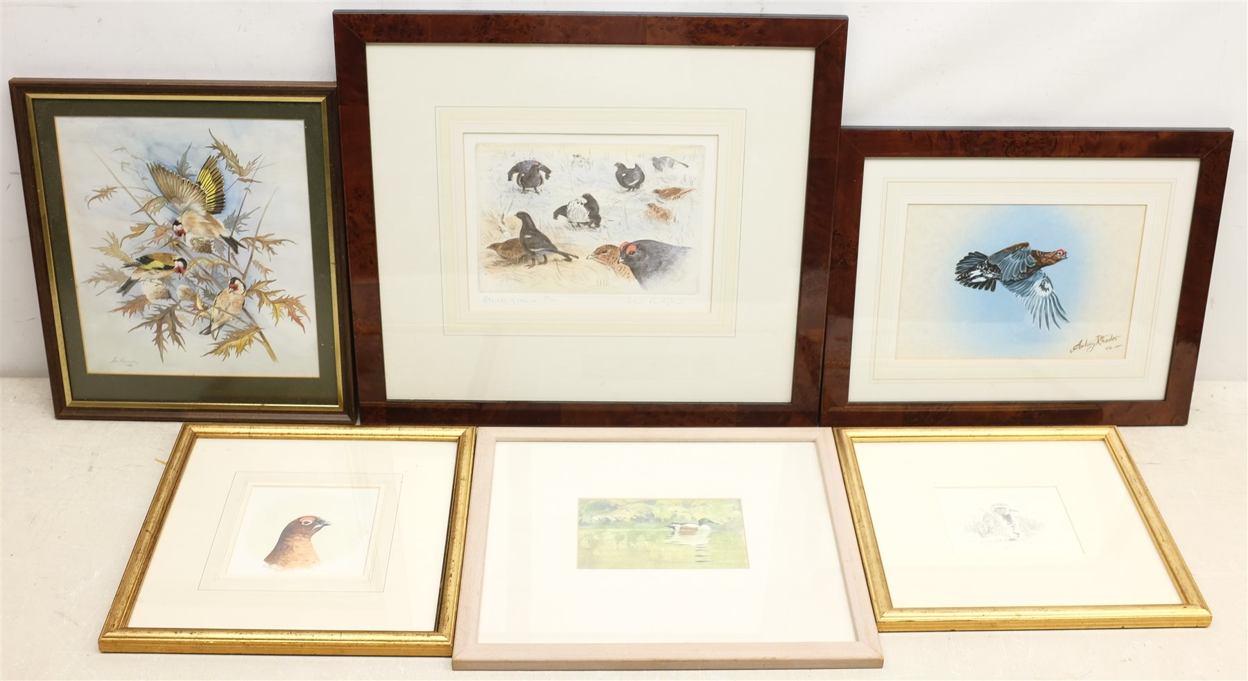Peter Partington (British 1941-): 'Black Grouse', coloured etching signed, titled and numbered 69/150 in pencil, together with four other paintings and a pencil drawing of birds, max 19cm x 25cm (6)