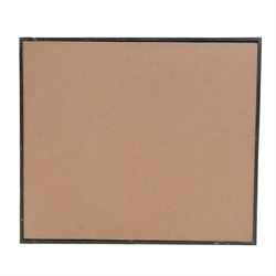 Entomology: Single glazed display Moths of the World, circa 20th century, single glazed display containing fifteen specimens, including Gonimbrasia Belina, Gonimbrasia (Nudaurelia) Anna, all with attached data labels, all pinned upon foam backing and named labels, enclosed within a glazed ebonised display case, H33cm, L38cm