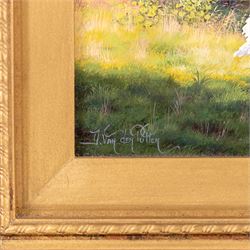 Daniel Van der Putten (Dutch 1949-): 'Crackpot in September - Swaledale Yorkshire', oil on panel signed, titled verso and with COA, 32cm x 38cm