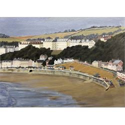 Donald Driscoll (20th century): 'Filey from the Brigg', oil on canvas board, signed titled and dated 1999 verso 29cm x 39cm