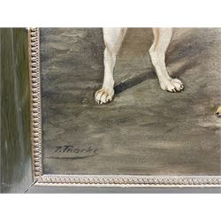 After Heinrich Sperling (German 1844-1924): Dog Fight, oil on canvas indistinctly signed 34cm x 24.5cm 