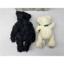 Steiff Special Edition Prince Charles black bear, with HRH coat of arms on foot and growler mechanism, with white tag ear label, in original box, together with Steiff 'Yorkshire Tyke' bear with rose on foot