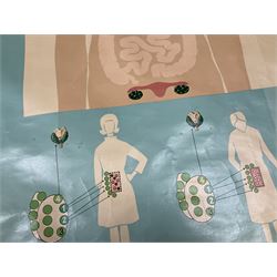 Large 1960s German educational school poster illustrating the endocrine (hormone) system, the colourful infographic depicting the human body, backed on linen with wood hanging rods, by  Lehrmittelverlag Wilhelm Hagemann, Dusseldorf, 1964, H117cm W171cm
