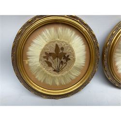 Pampas grass wall art, decorated with dried foliage upon a central circular panel, in ornate gilt frames, D24.5cm (3)
