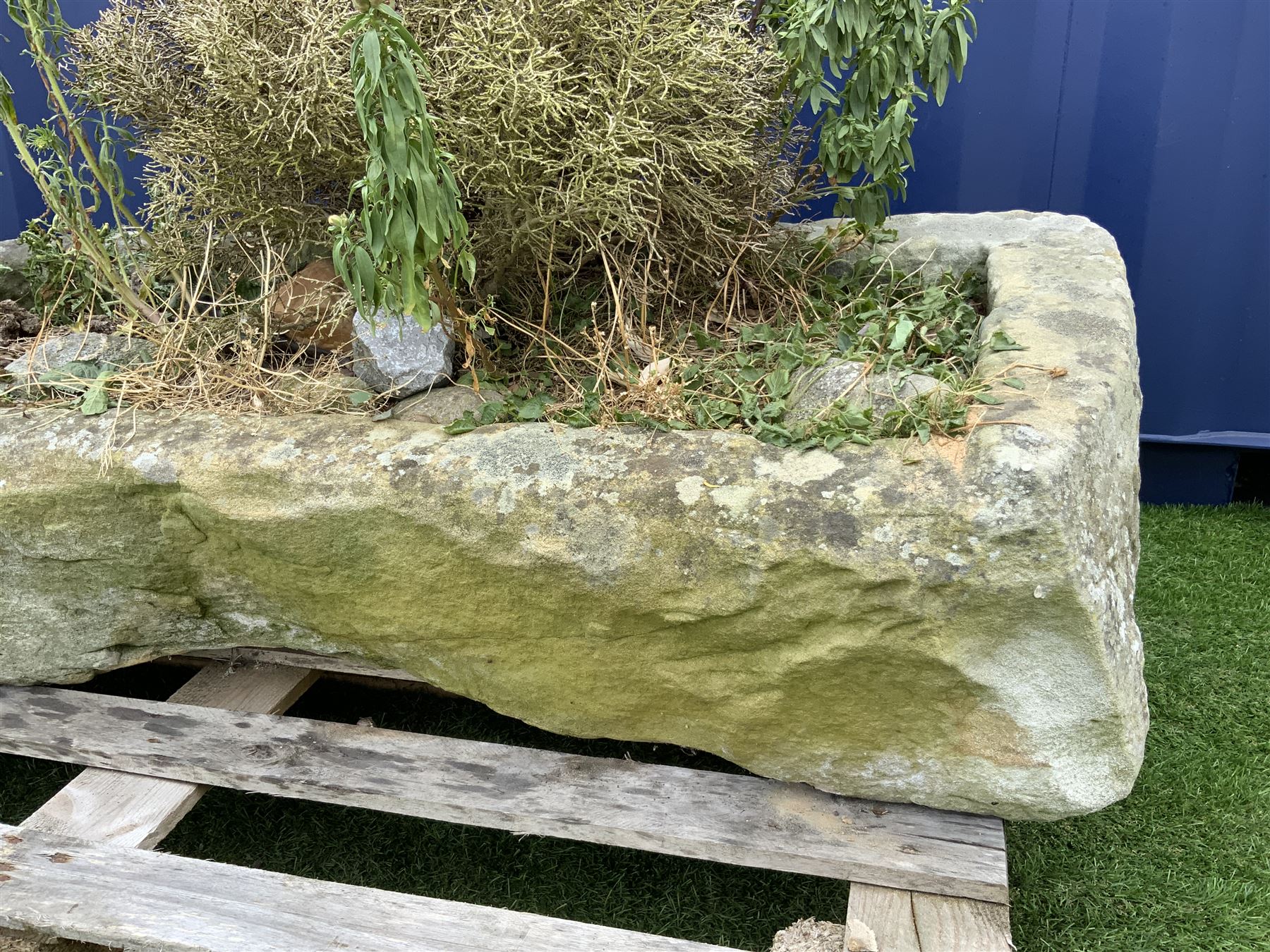 18th/19th century shallow sandstone trough/planter, long rectangular shape with rough cut and tooled sides, planted - THIS LOT IS TO BE COLLECTED BY APPOINTMENT FROM DUGGLEBY STORAGE, GREAT HILL, EASTFIELD, SCARBOROUGH, YO11 3TX