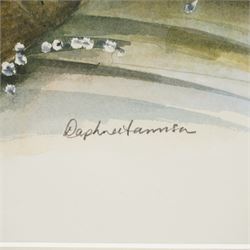 Daphne Harrison (Northern British Contemporary): Brown Trout and Rainbow Trout, pair watercolours signed 31cm x 37cm (2)