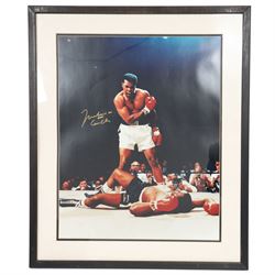 Large colour print depicting the famous scene of boxer Muhammad Ali standing over the defeated Sonny Liston, taken from their 1964 rematch, signed by Ali to the left middle in gold marker, with his double signature 'Muhammad Ali AKA Cassius Clay', with certificate of authenticity from Fraser's Autographs, framed, picture H49cm