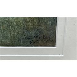 Norma Lindsay (Northern British 20th Century): Whitby Woodland Scenes, three watercolours signed max 33cm x 23cm; Sue Morton (British 20th Century): 'Featherbed Lane - Aislaby', watercolour signed, titled verso 20cm x 19cm (4)