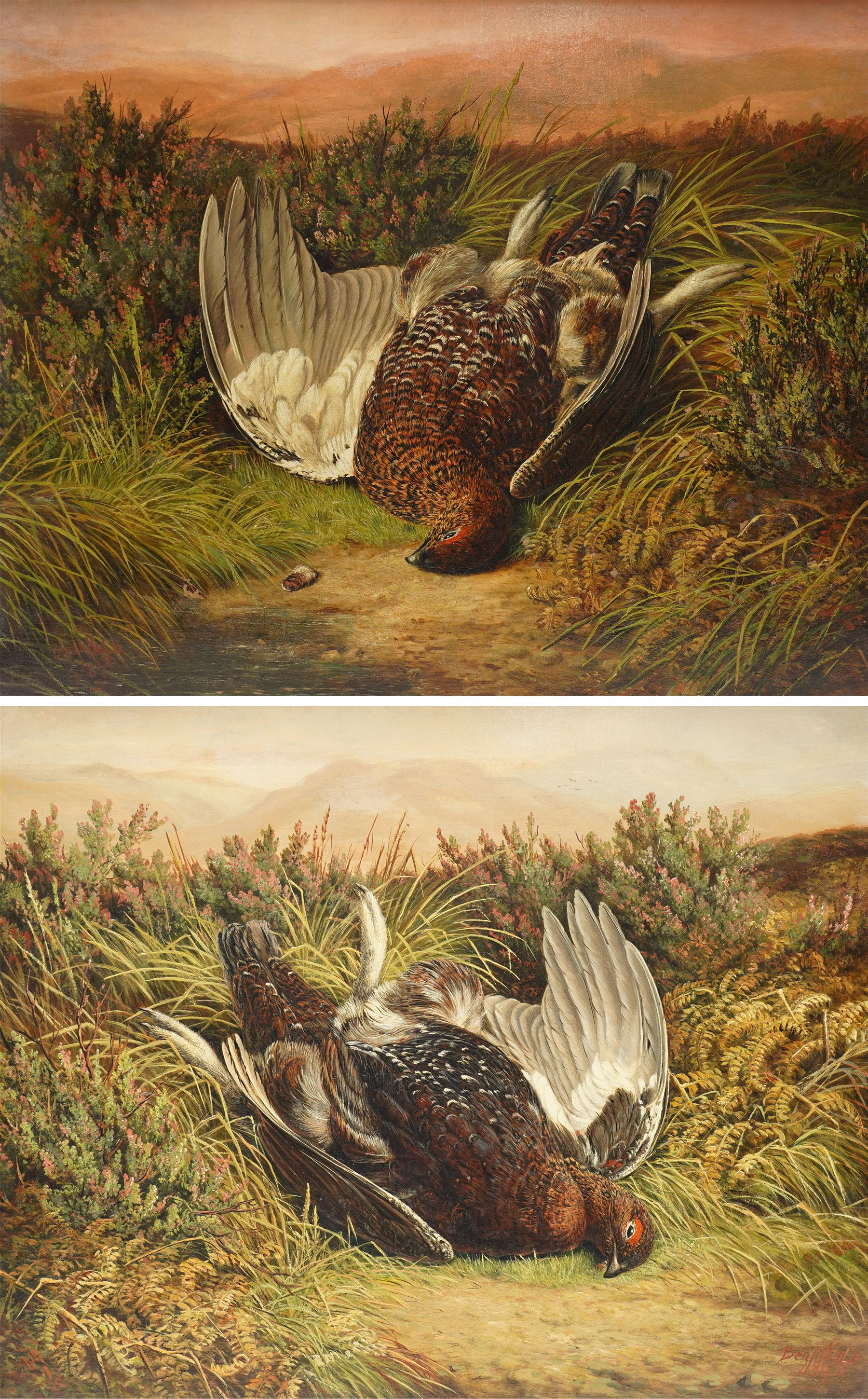Benjamin Hold (British 1847-1917): Scottish Red Grouse, pair oils on canvas signed and dated 1898, 42cm x 52cm (2)