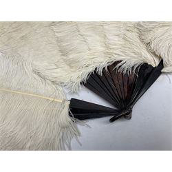 Large 20th century ostrich feather fan, the eighteen extravagant feathers mounted on dark tortoiseshell effect monture, with loop carrying handle, L58cm