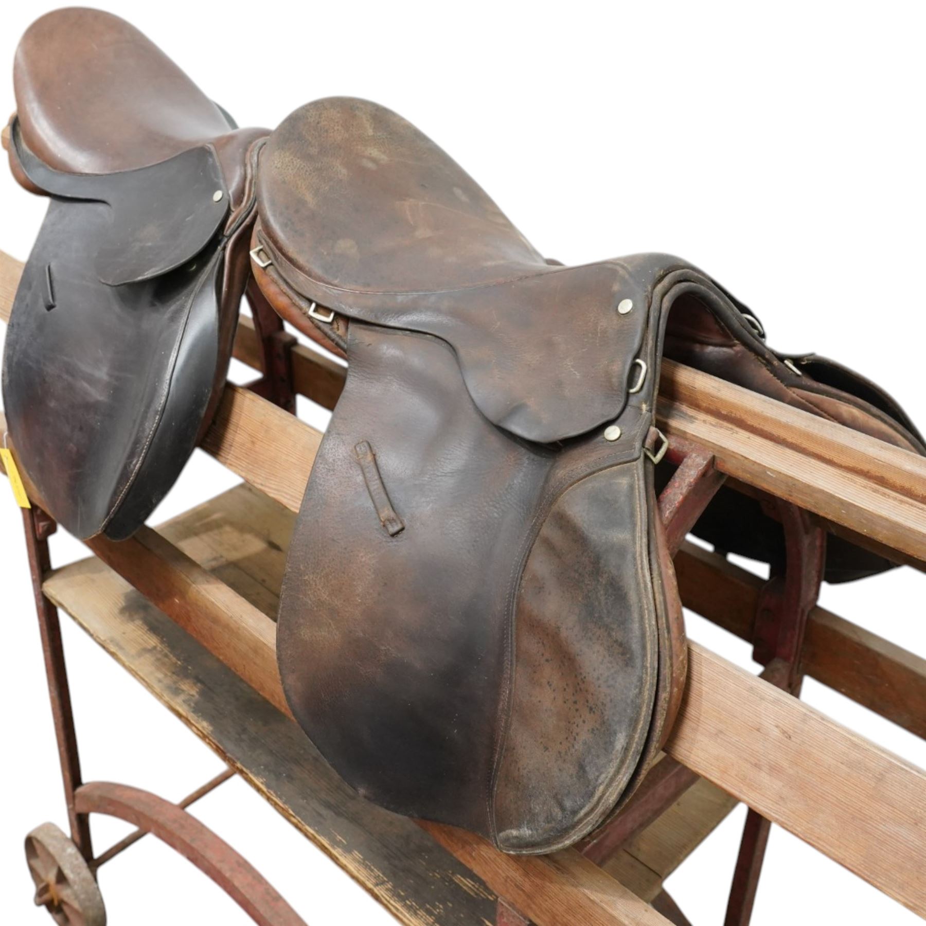 Newcome Saddle, together with one other 