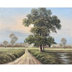 English School (20th century): Lane in the Afternoon Sun, oil on board indistinctly signed 39cm x 49cm