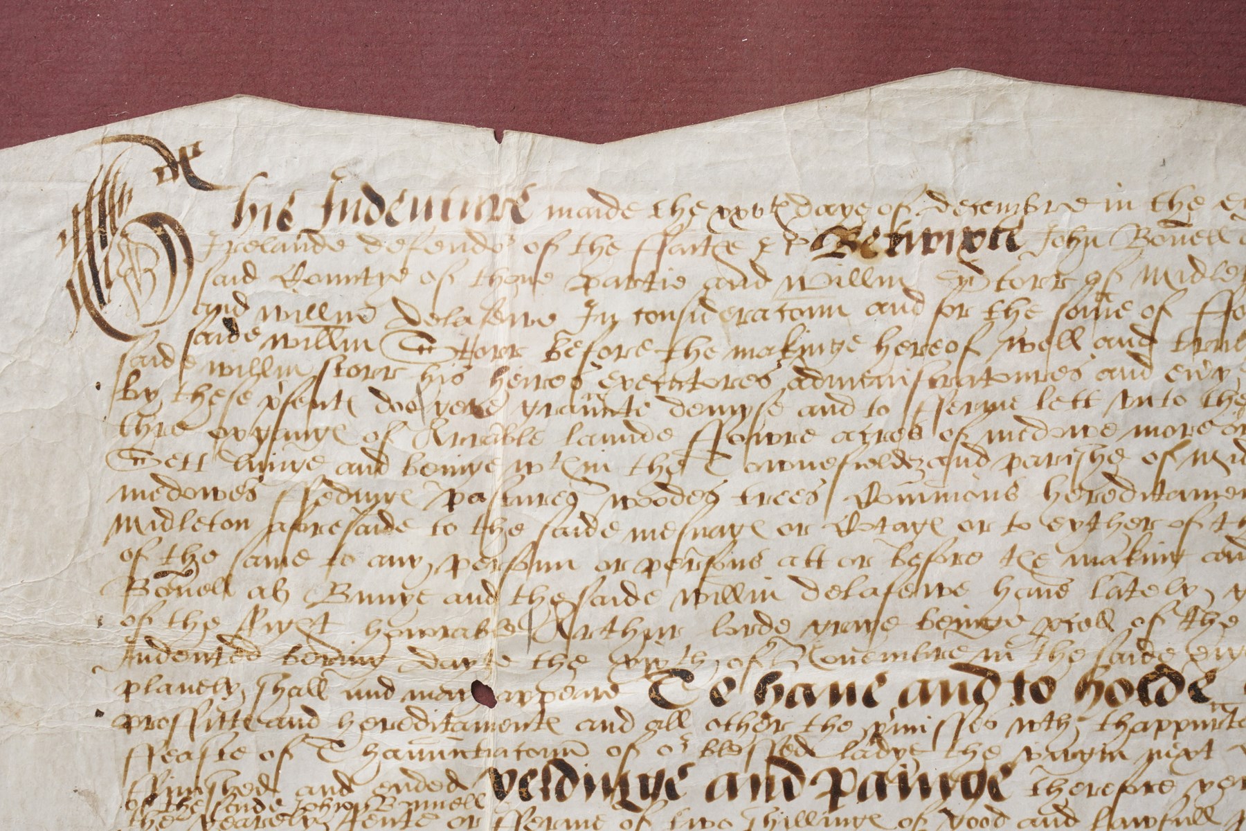 An Elizabeth 1 indenture in English secretary hand regarding the transfer of an estate in the parish of Middleton, 1566 document size 28cm x 42cm, framed 