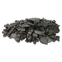 Collection of raw Whitby jet including l