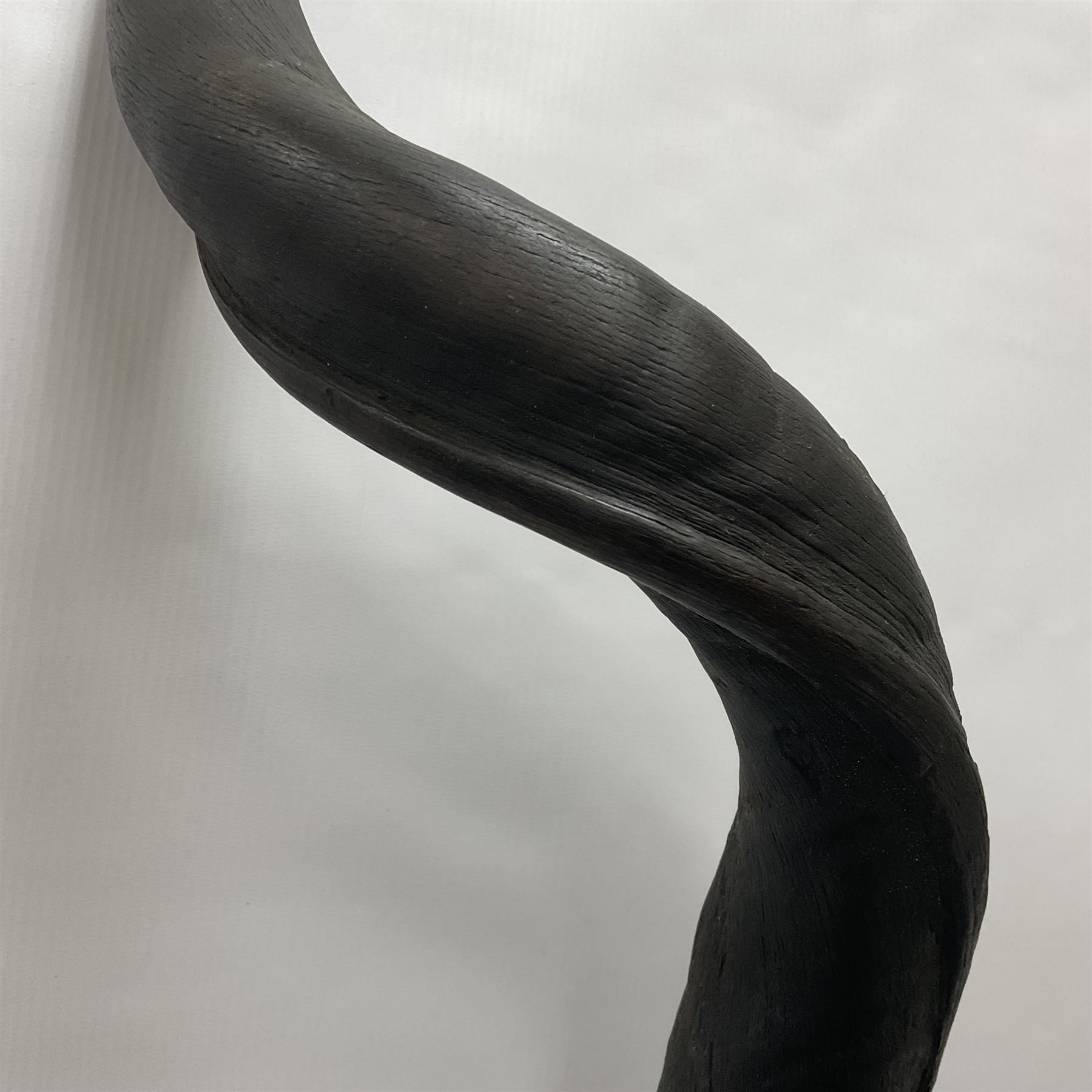 Antlers/Horns: Greater Kudu (Tragelaphus Strepsiceros), Pair of Kudu curved horns on partial skull, mounted on an oak shield, H120cm