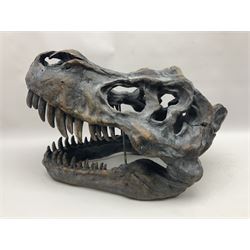 Composite model of a T-Rex dinosaur Skull, L50cms, H36cm 