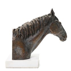 Sally Arnup FRBS ARCA (1930-2015): Study of Horse's Head, bronze, signed and numbered I/X, mounted on white marble base, including base H30.5cm 