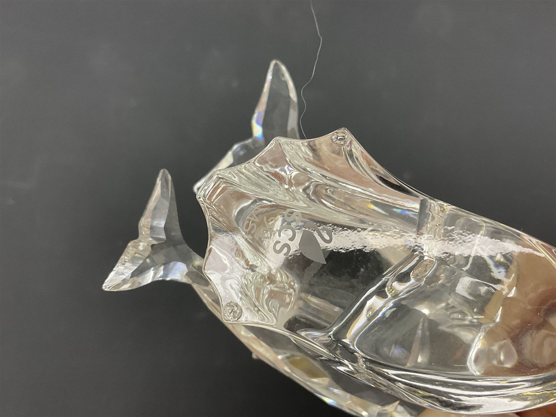 Nineteen Swarovski Crystal sea creatures, to include dolphins, seals, puffer fish, octopus, crabs, together with a quantity Swarovski Crystal shells 