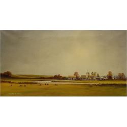 N Bradley-Carter (British 20th century): 'Cotswold Landscape on the River Colne', oil on canvas signed, titled verso 40cm x 76cm (unframed)