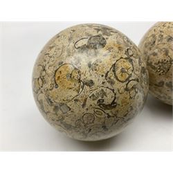 Pair of fossilised coral spheres, D12cm