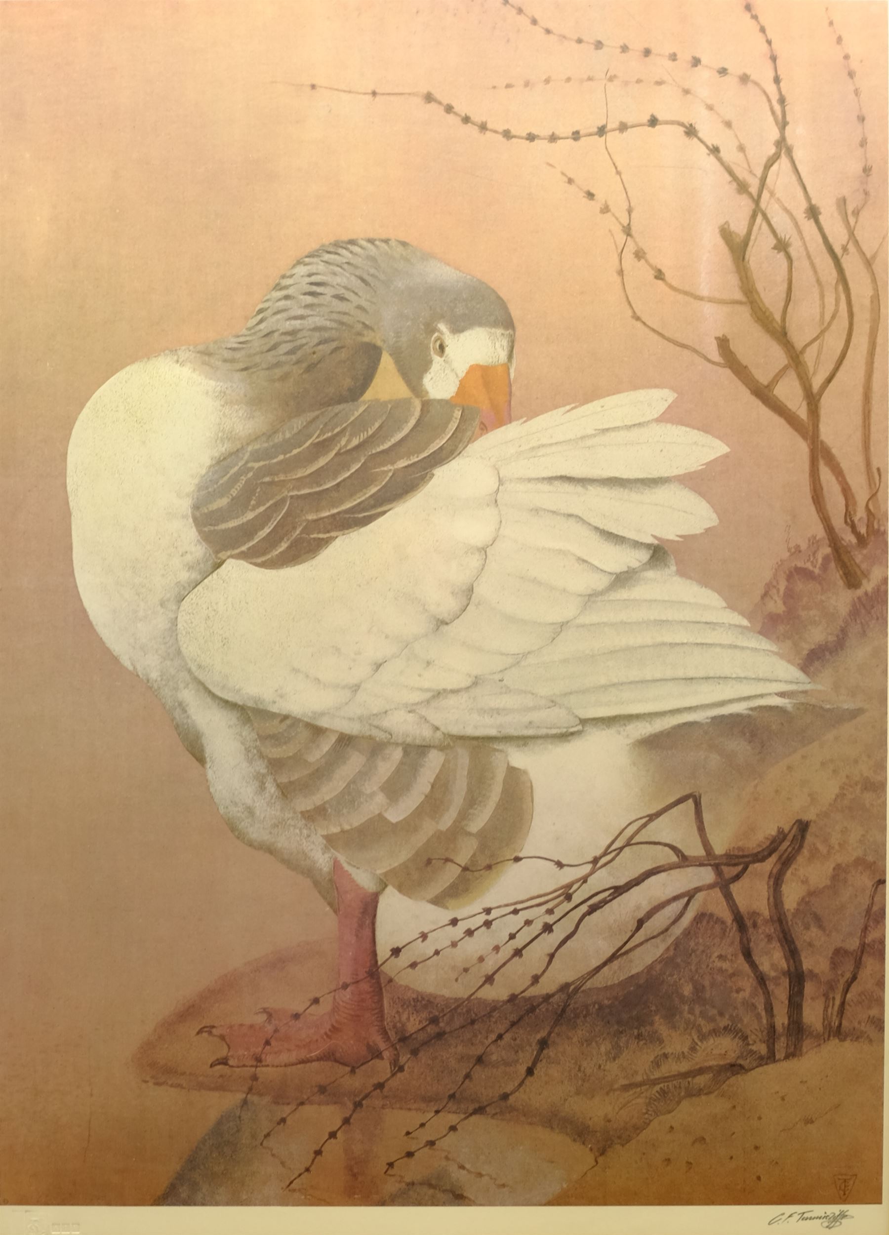 Charles Frederick Tunnicliffe (British 1901-1979): Greylag Goose, colour print signed in pencil with Fine Art Trade Guild blindstamp 60cm x 44cm