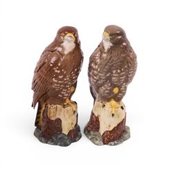 Six Beswick whisky decanters, including snowy owl, Tawney owl, Buzzard etc  
