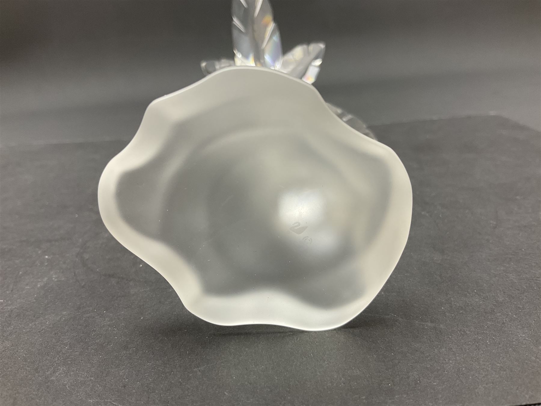 Swarovski Crystal animals, comprising camel and lion, both upon frosted crystal bases, together with Swarovski Crystal palm tree, upon similar frosted crystal base, tallest H14cm