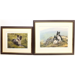 Steven Townsend (British 1955-): Sheepdogs, two limited edition colour prints signed and numbered in pencil with Northern Editions blindstamp, max 42cm x 56cm (2)