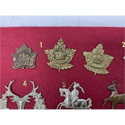 Forty glengarry and cap badges and shoulder titles including Gordon Highlanders, Canada and Canadian Field Artillery, New Zealand Field Artillery and Rifle Regiment, Shropshire Light Infantry, 14th/20th Kings Hussars, 17th Lancers, Northamptonshire Yeomanry, Royal Lincolnshire, Special Air Service, 19th Alexandra P.W.O. Hussars etc; mounted on two boards for display (2)