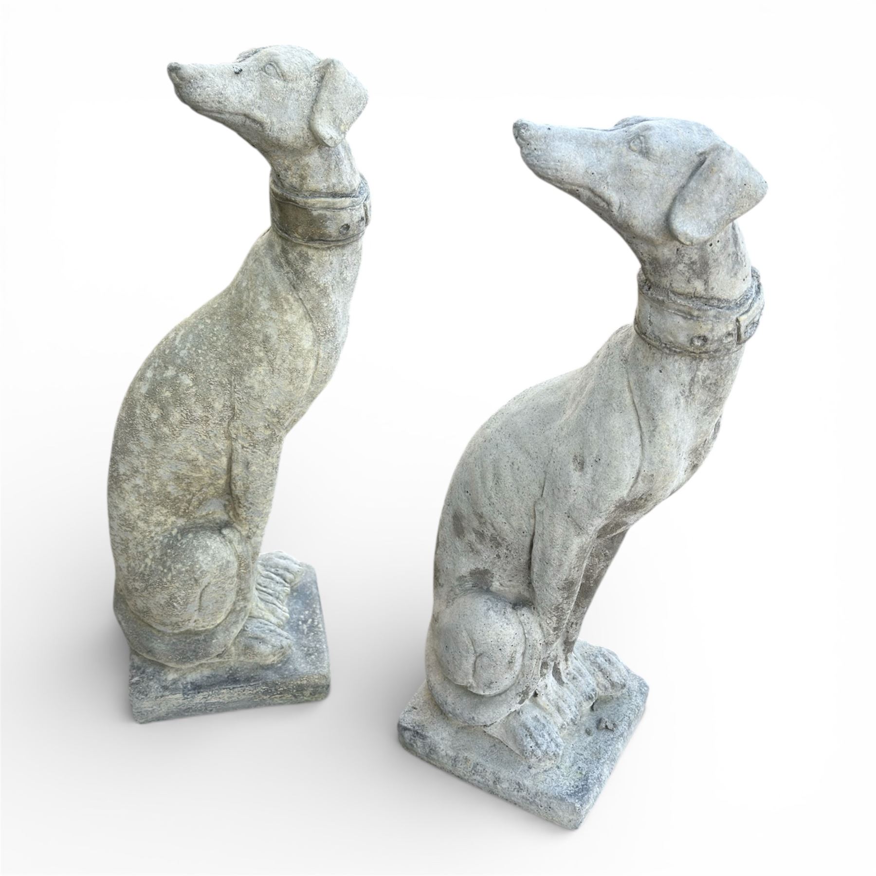 Pair of small cast stone  seated garden greyhounds, on square plinth bases