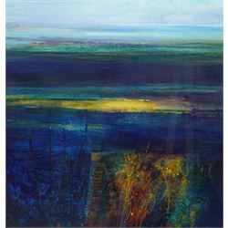 Harry McArdle (British 1941): 'Salt Mars