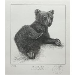 Gary Hodges (British 1954-): 'Brown Bear Cub', limited edition monochrome print signed and numbered 239/850 in pencil 26cm x 23cm