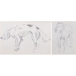 John Atkinson (Staithes Group 1863-1924): Studies of Dogs, two pencil sketches unsigned 7....
