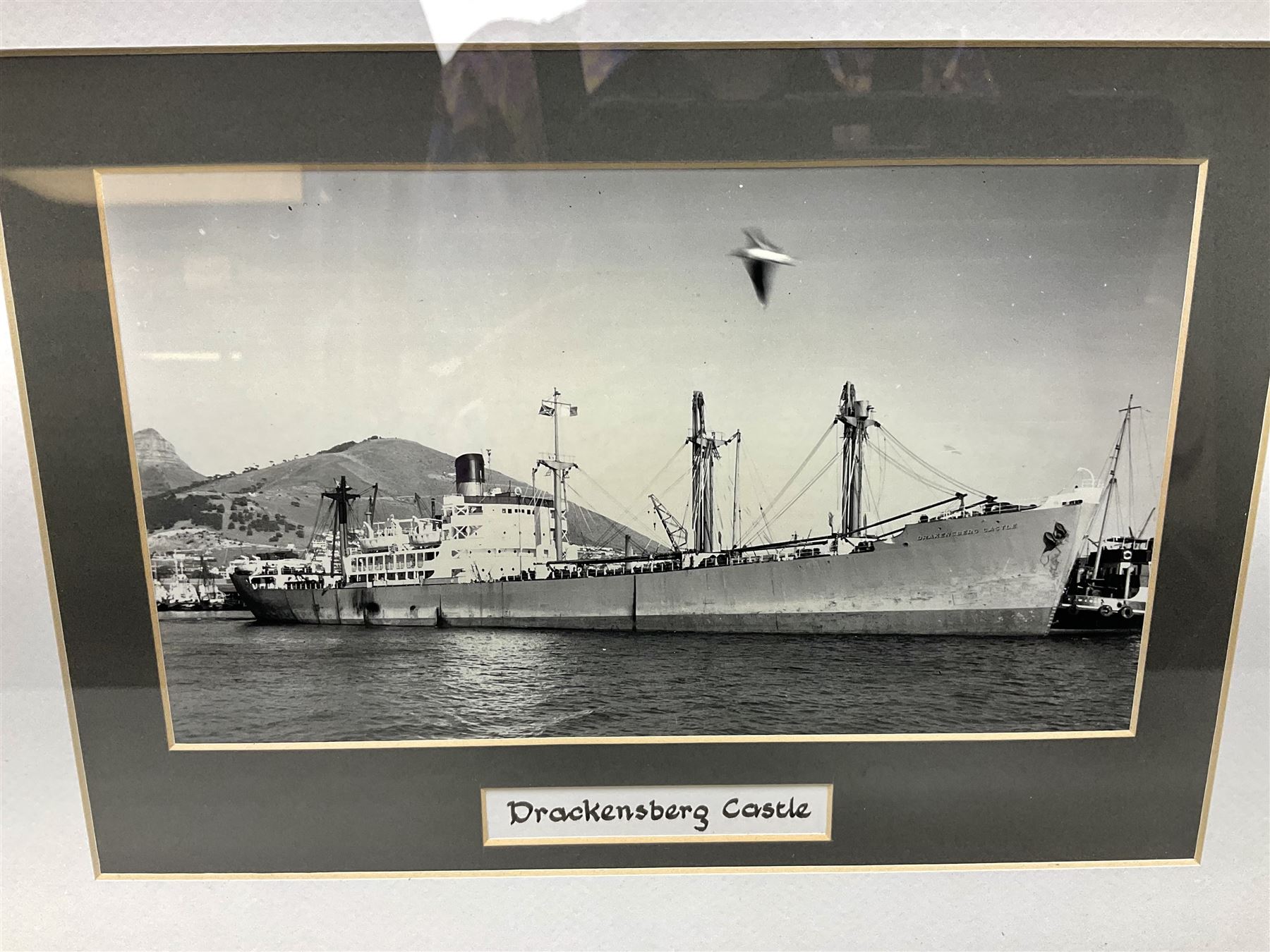 Set of twelve monochrome photographs of mid-20th century merchant vessels comprising general cargo ships, cargo liners, RMMV passenger cargo liners and hospital ship including Rowallan Castle, Drakensberg Castle, Stirling Castle, Capetown Castle, Pachumba, Tilapa etc; average size 18 x 24cm; uniformly mounted in black frames (12)