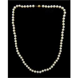 Single strand cultured white /cream pearl necklace, with 9ct gold clasp