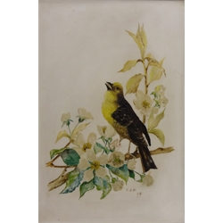  'Scarborough', etching signed by John W King (British fl.1893-1924), Bird on a Branch, Victorian painting on porcelain signed with initial  C.E.W and dated '99, max 30cm x 20cm (2)  