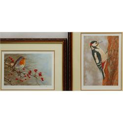 Robert E Fuller (British 1972-): 'Woodpecker at Fotherdale' and 'Robin On Hawthorn', two limited edition colour prints signed and numbered in pencil 24cm x 33cm (2)