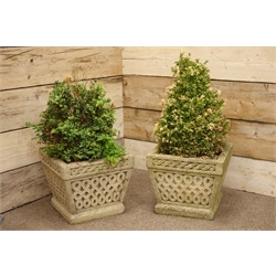  Pair composite stone square tapering planters with Celtic decoration, planted with shrubs, H85cm (overall max)  