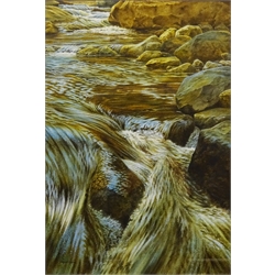  'The Salmon Stream', watercolour signed by Michael Loates (British 1947-) 49cm x 34cm'  