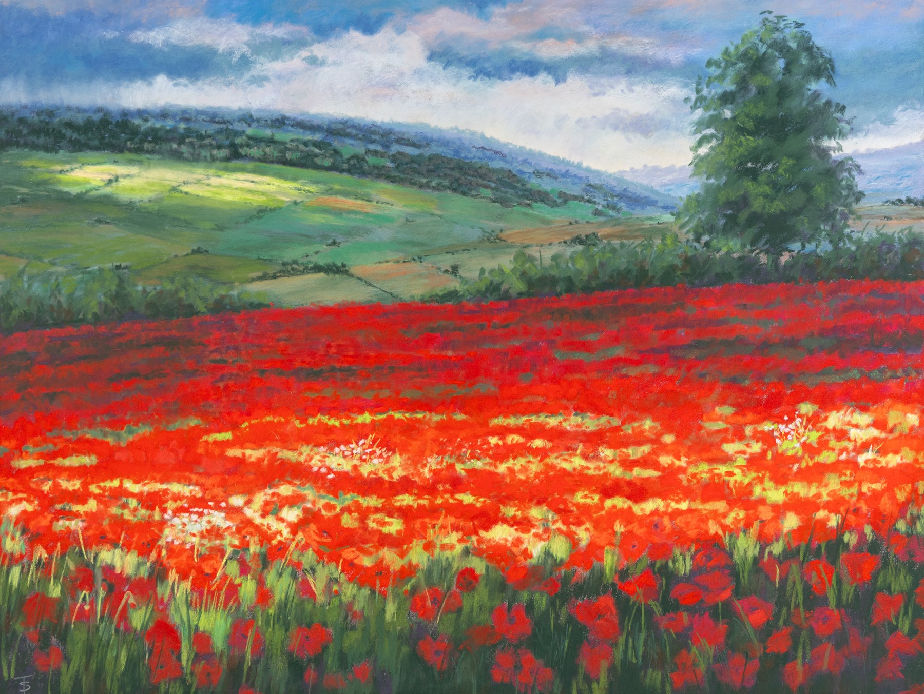 Shirley Trumble (Yorkshire 1937): 'Bluebells' and 'Sunlit Poppies II', pair of pastels signed with monogram, titled on artist's label verso max 46.5cm x 61.5cm (2)