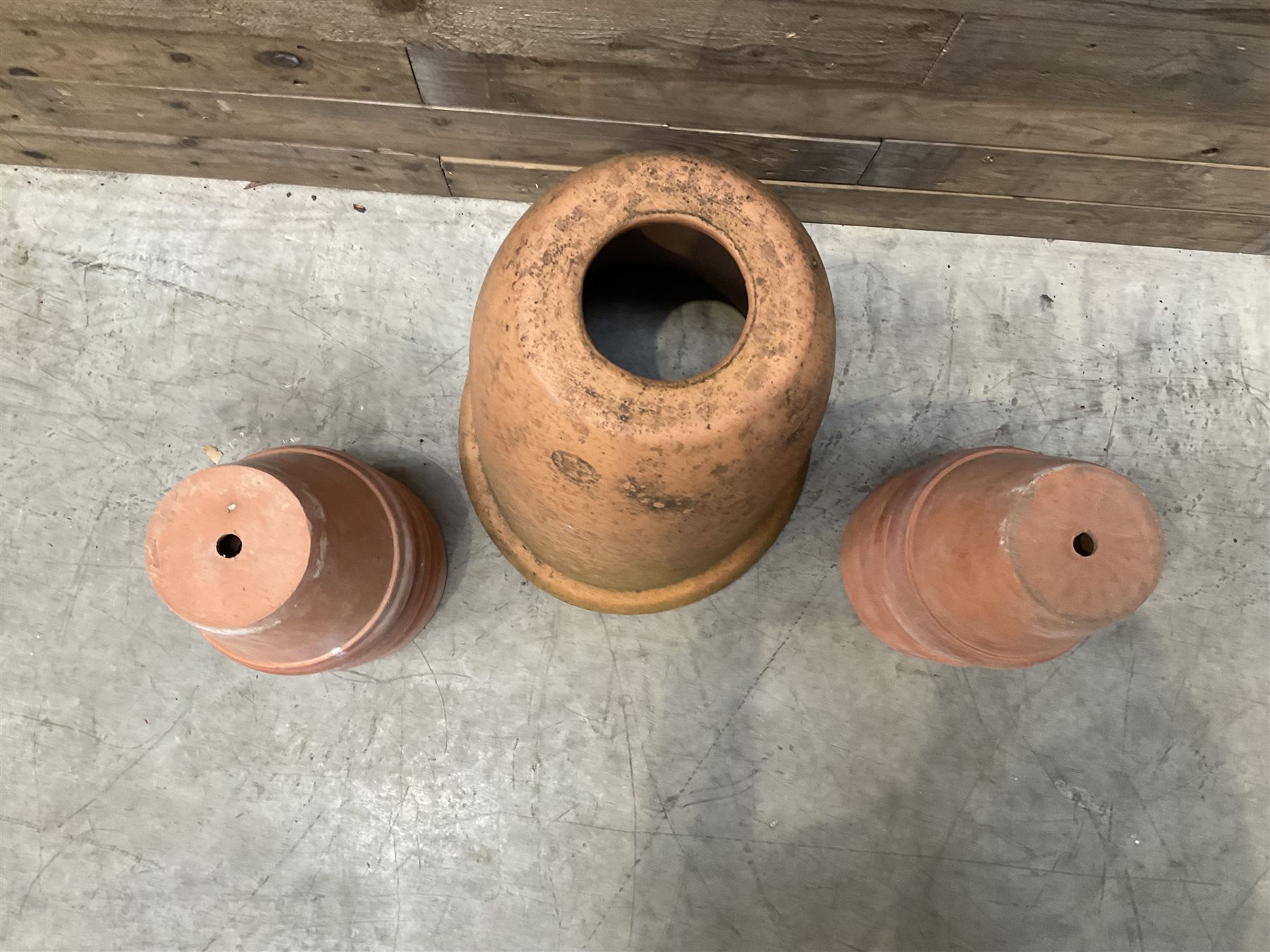 Yorkshire Flower Pots - Terracotta rhubarb forcer (H49cm, D40cm) and ten Sankey terracota plant pots (H17cm, D20cm)