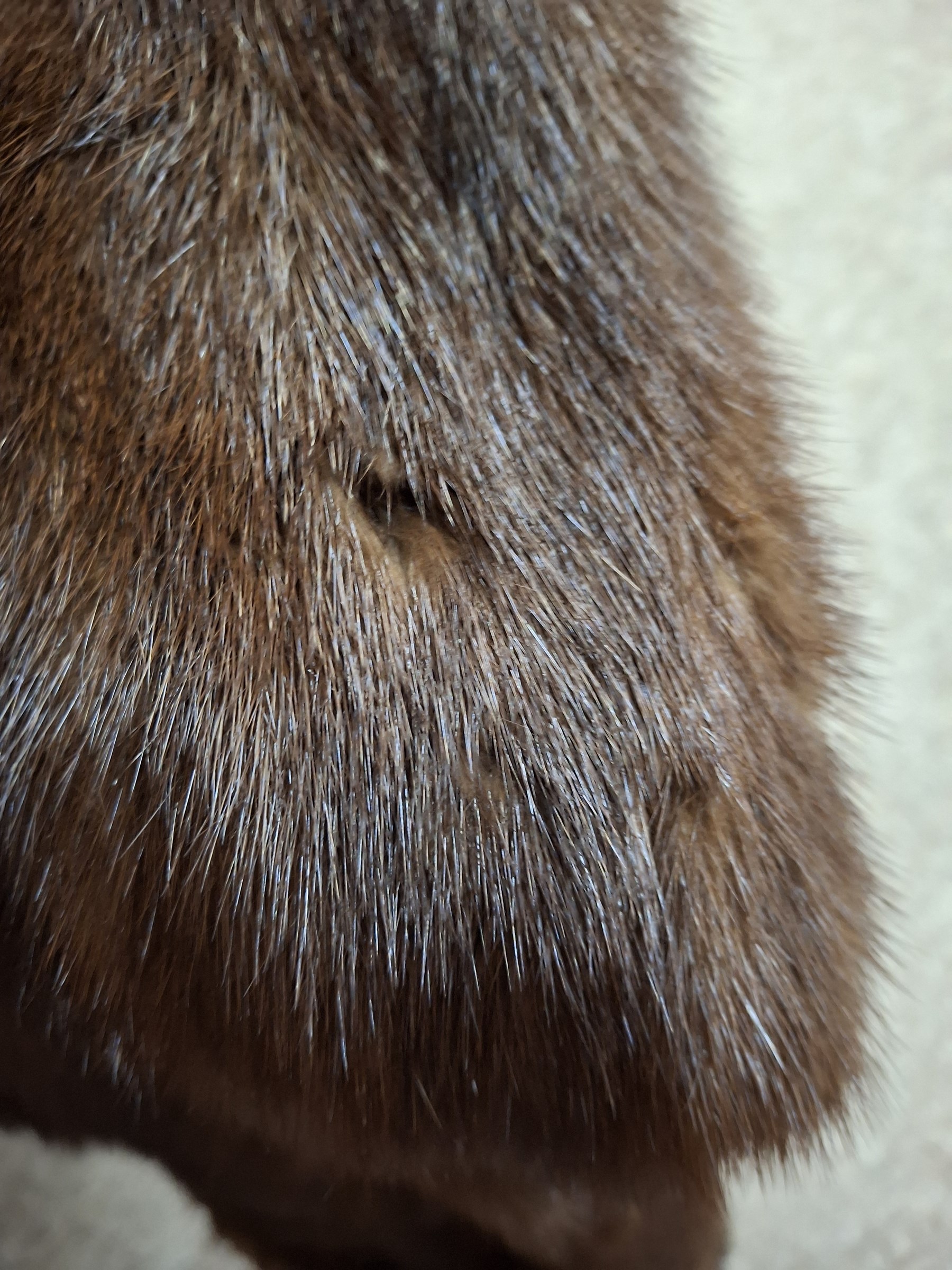Marshall & Snelgrove three quarter length mink fur coat, together with mink hat, stole, shawl
