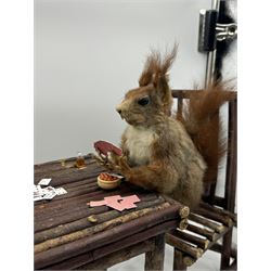 Anthropomorphic Taxidermy: Two red squirrels (Sciurus vulgaris), both seated upon a chair holding playing cards, one smoking a pipe 