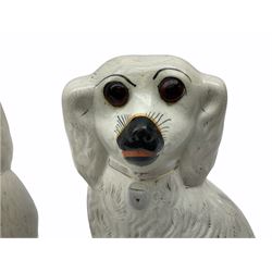 A pair of large 19th century Staffordshire dogs with glass eyes, H31cm, together with another smaller pair, H28cm, each in the form of a spaniel with white coats. 